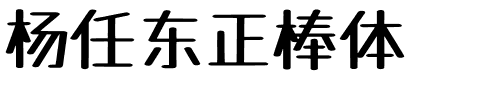 杨任东正棒体