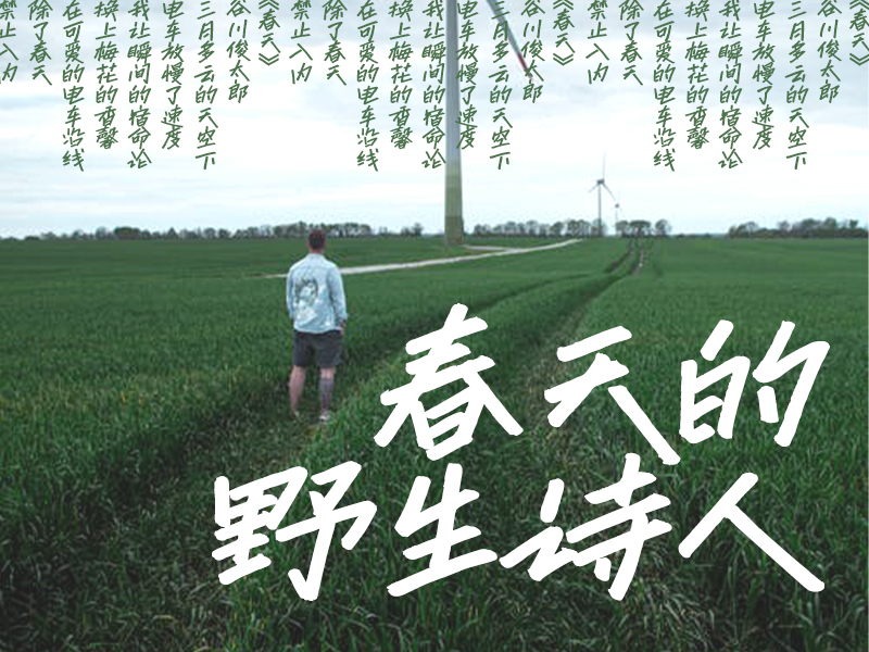头图800x600.jpg