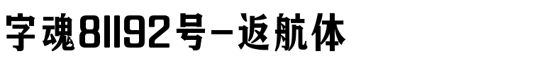 字魂81192号-返航体