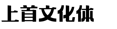 上首文化体.ttf字体转换器图片