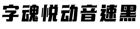 字魂悦动音速黑