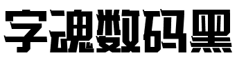 字魂数码黑