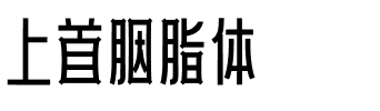 上首胭脂体.ttf字体转换器图片